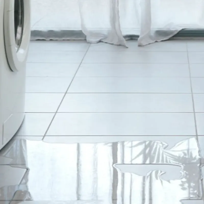 Appliance Leak Cleanup in Florham Park, NJ